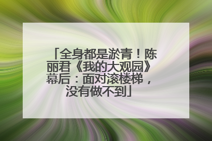 全身都是淤青！陈丽君《我的大观园》幕后：面对滚楼梯，没有做不到