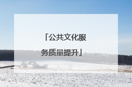 公共文化服务质量提升