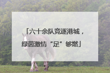 六十余队竞逐港城，绿茵激情“足”够燃