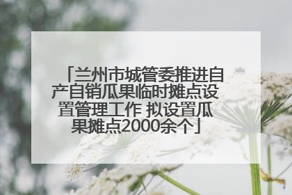 兰州市城管委推进自产自销瓜果临时摊点设置管理工作 拟设置瓜果摊点2000余个