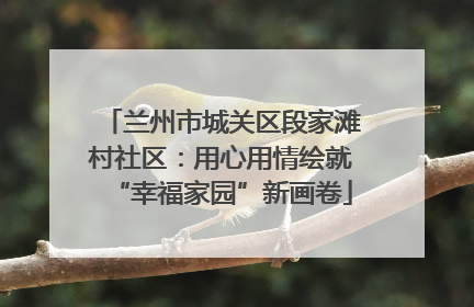兰州市城关区段家滩村社区：用心用情绘就“幸福家园”新画卷