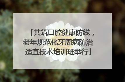 共筑口腔健康防线，老年规范化牙周病防治适宜技术培训班举行