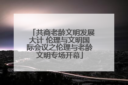 共商老龄文明发展大计 伦理与文明国际会议之伦理与老龄文明专场开幕