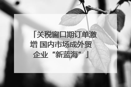 关税窗口期订单激增 国内市场成外贸企业“新蓝海”