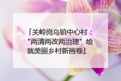 关岭岗乌镇中心村：“两清两改两治理”绘就美丽乡村新画卷