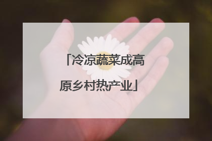冷凉蔬菜成高原乡村热产业