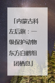 内蒙古科左后旗：一级保护动物东方白鹳组团栖息