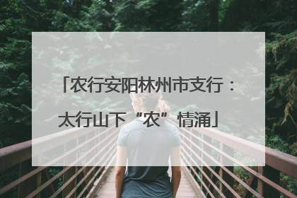 农行安阳林州市支行：太行山下“农”情涌