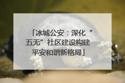 冰城公安：深化“五无”社区建设构建平安和谐新格局