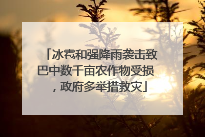冰雹和强降雨袭击致巴中数千亩农作物受损，政府多举措救灾