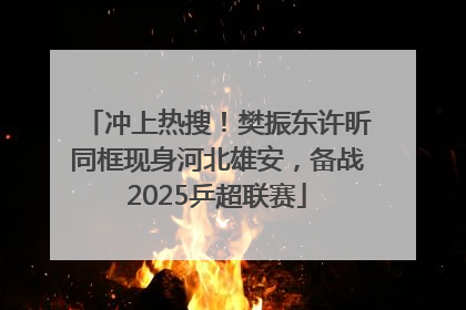 冲上热搜！樊振东许昕同框现身河北雄安，备战2025乒超联赛