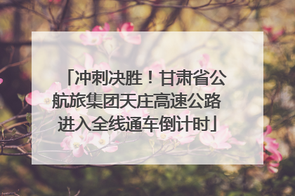 冲刺决胜！甘肃省公航旅集团天庄高速公路进入全线通车倒计时