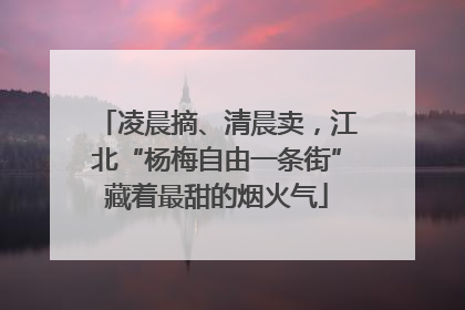 凌晨摘、清晨卖，江北“杨梅自由一条街”藏着最甜的烟火气
