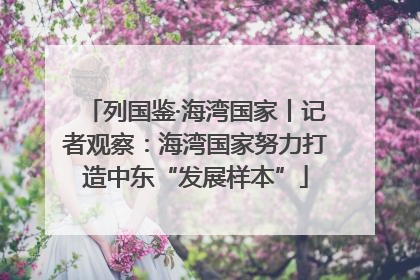 列国鉴·海湾国家丨记者观察：海湾国家努力打造中东“发展样本”