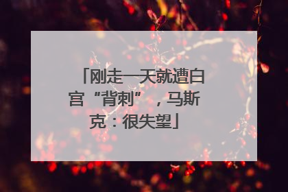 刚走一天就遭白宫“背刺”，马斯克：很失望