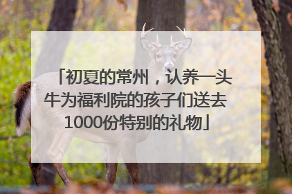 初夏的常州，认养一头牛为福利院的孩子们送去1000份特别的礼物