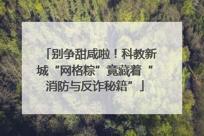 别争甜咸啦!科教新城“网格粽”竟藏着“消防与反诈秘籍”