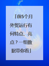 前5个月外贸运行有何特点、亮点？一组数据带你看