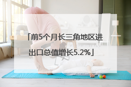 前5个月长三角地区进出口总值增长5.2%