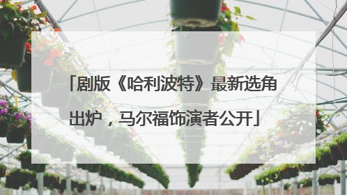 剧版《哈利波特》最新选角出炉，马尔福饰演者公开