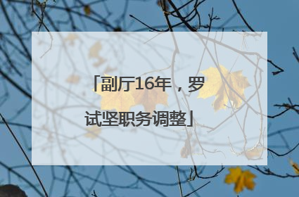 副厅16年，罗试坚职务调整