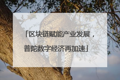 区块链赋能产业发展，普陀数字经济再加速