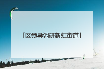 区领导调研新虹街道