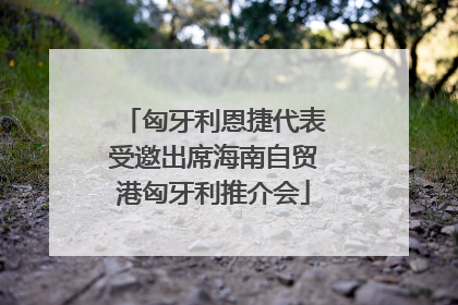 匈牙利恩捷代表受邀出席海南自贸港匈牙利推介会