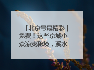 北京号最精彩｜免费！这些京城小众凉爽秘境，溪水清透美如画