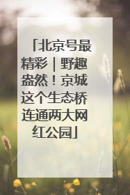 北京号最精彩｜野趣盎然！京城这个生态桥连通两大网红公园