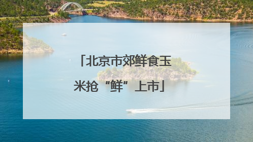 北京市郊鲜食玉米抢“鲜”上市
