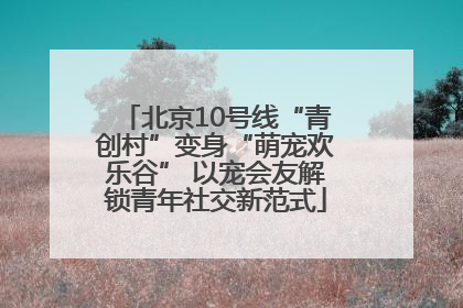 北京10号线“青创村”变身“萌宠欢乐谷” 以宠会友解锁青年社交新范式