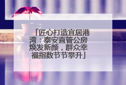 匠心打造宜居港湾：泰安直管公房焕发新颜，群众幸福指数节节攀升