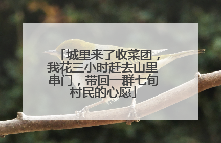 城里来了收菜团，我花三小时赶去山里串门，带回一群七旬村民的心愿