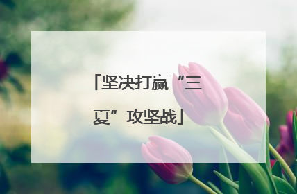坚决打赢“三夏”攻坚战
