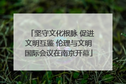 坚守文化根脉 促进文明互鉴 伦理与文明国际会议在南京开幕