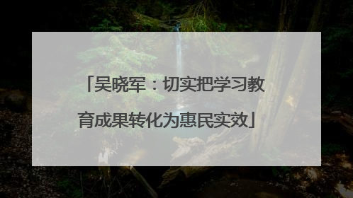 吴晓军：切实把学习教育成果转化为惠民实效