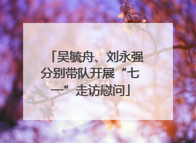 吴毓舟、刘永强分别带队开展“七一”走访慰问