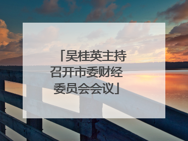 吴桂英主持召开市委财经委员会会议
