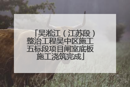 吴淞江（江苏段）整治工程吴中区施工五标段项目闸室底板施工浇筑完成