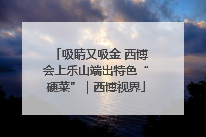 吸睛又吸金 西博会上乐山端出特色“硬菜”｜西博视界