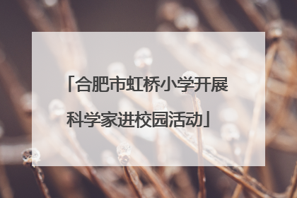合肥市虹桥小学开展科学家进校园活动