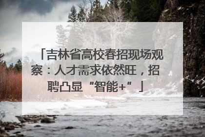 吉林省高校春招现场观察：人才需求依然旺，招聘凸显“智能+”