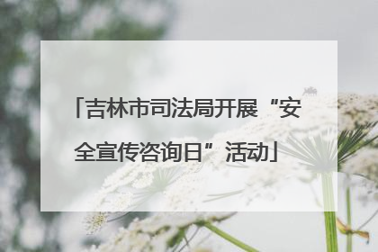 吉林市司法局开展“安全宣传咨询日”活动