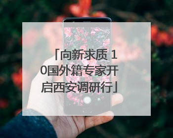 向新求质 10国外籍专家开启西安调研行