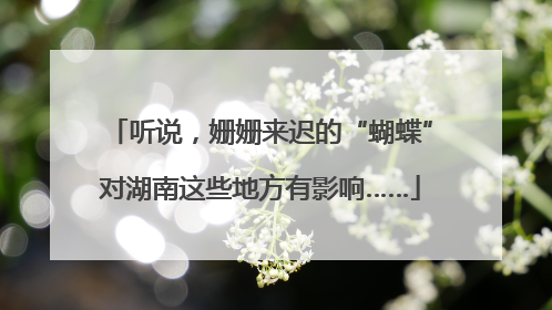 听说，姗姗来迟的“蝴蝶”对湖南这些地方有影响……