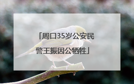 周口35岁公安民警王振因公牺牲