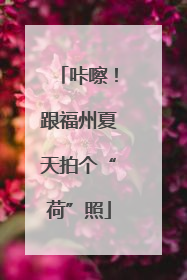 咔嚓！跟福州夏天拍个“荷”照
