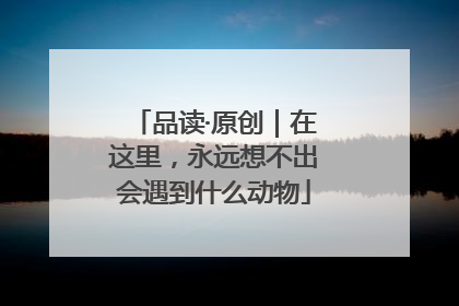 品读·原创｜在这里，永远想不出会遇到什么动物