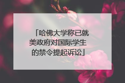哈佛大学称已就美政府对国际学生的禁令提起诉讼